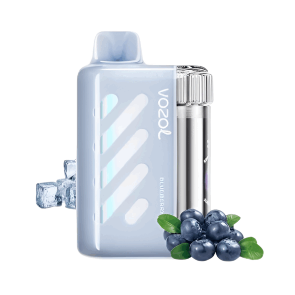 Vozol Vista 40000 – Bild 3